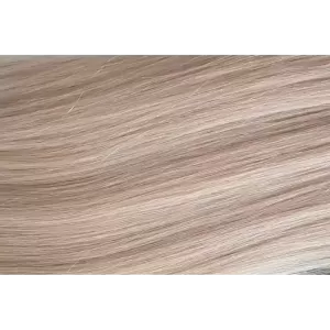 1001 Light Ash Blonde...